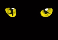 Tony Award Best Musicals '70s-'80s - Free Music Radio