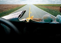 Road Trip Radio - Free Music Radio