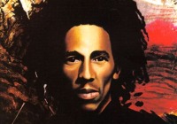 Reggae Wonderland - Free Music Radio